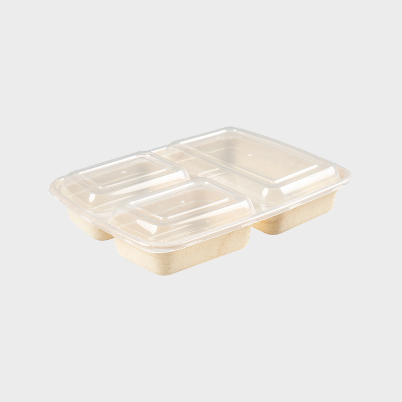 Kolmiosastoinen Bento Box PFK004/PFK003